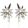 CRYSTAL ASTERI LARGE STUD